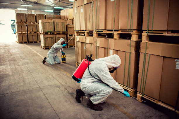Best Flea Control Services  in Oak Bluffs, MA