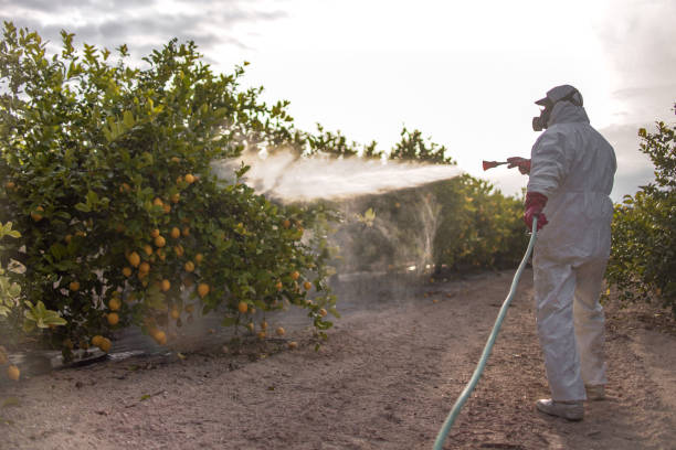 Best Best Pest Control Companies  in Oak Bluffs, MA