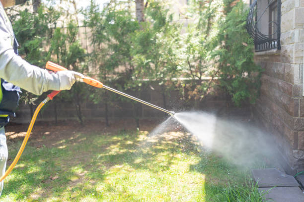 Best Exterminator Services  in Oak Bluffs, MA