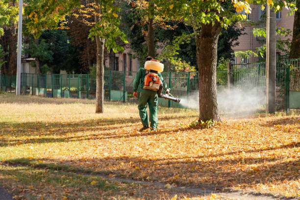 Best Mosquito Control Services  in Oak Bluffs, MA