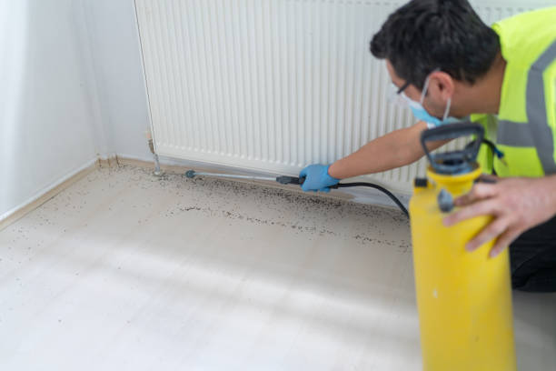 Reliable Oak Bluffs, MA Pest Control Solutions